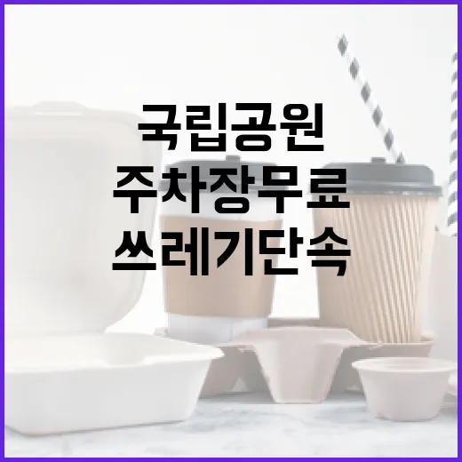 국립공원 주차장 무료 개방 쓰레기 단속 강화!