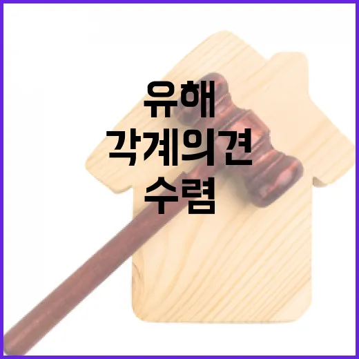 유해 안치 각계 의견 수렴하기 위한 행안부 발표!