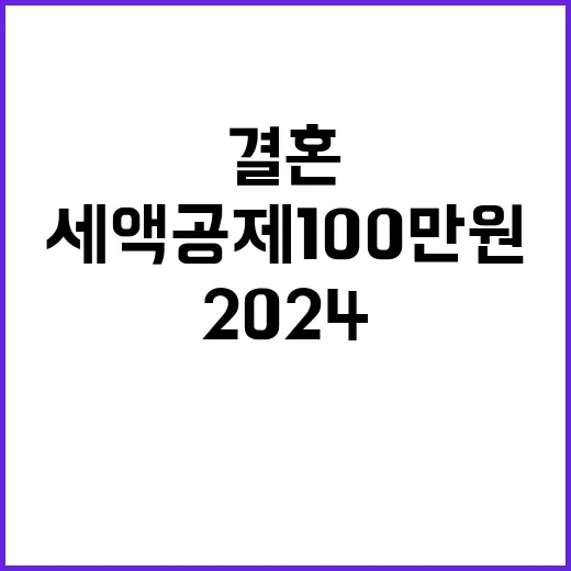 2024 세법 개정안 결혼 부부 세액공제 100만 원!