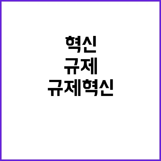 규제 혁신, 심의 …