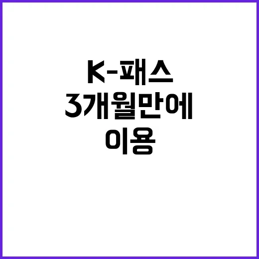 K-패스, 3개월 …