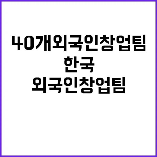 한국 정착, 40개…