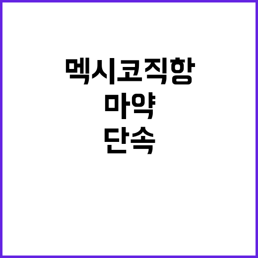 멕시코 직항노선 재개…관세청의 마약 밀수 단속 강화!