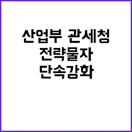 전략물자, 단속 강화를 위한 산업부·관세청 협업!