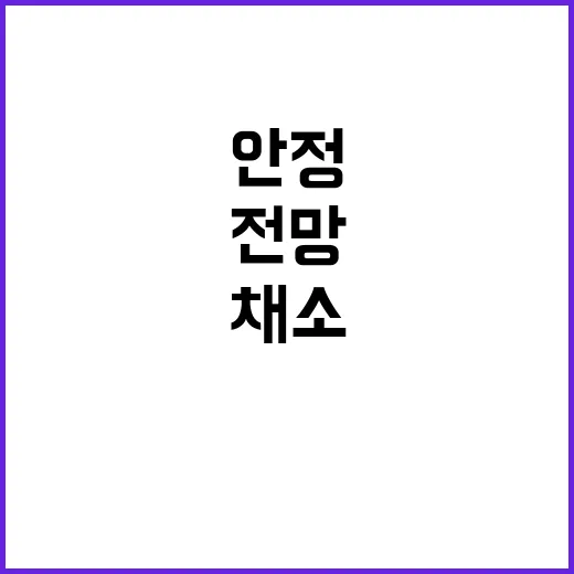 시설채소 가격 안정…