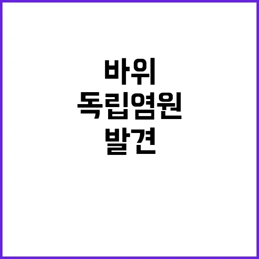 지리산 바위의 독립…