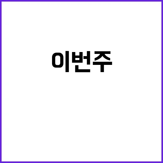 공연 이번주 최고의…