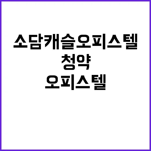 소담캐슬 오피스텔 …