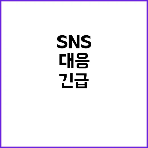 SNS 의존 해소 …