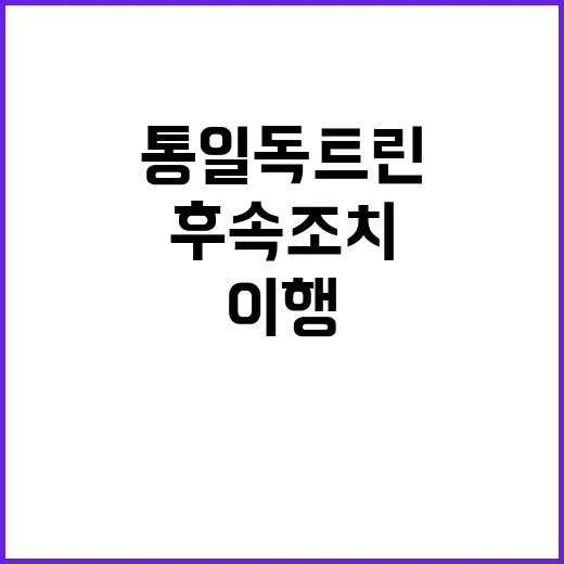 통일 독트린 후속조…