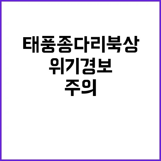 태풍 종다리 북상 …