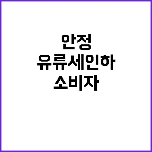 유류세 인하 소비자…