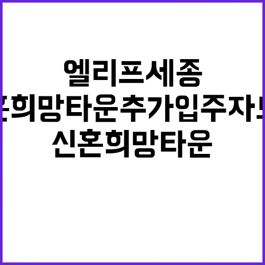 엘리프세종63 신혼…