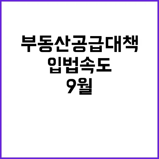 부동산 공급 대책 …