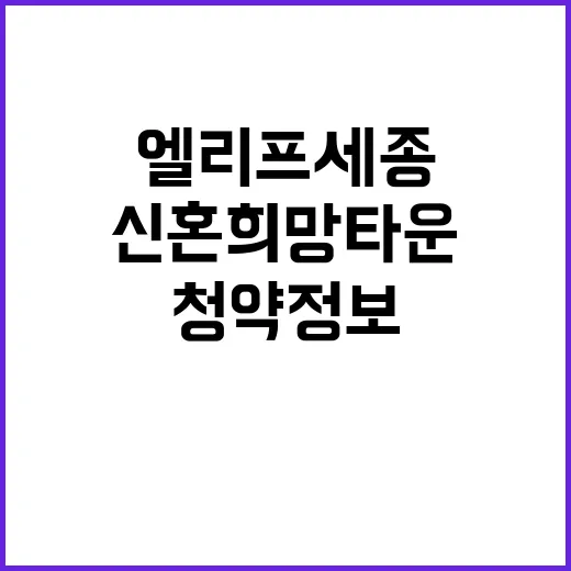 엘리프세종63 신혼…