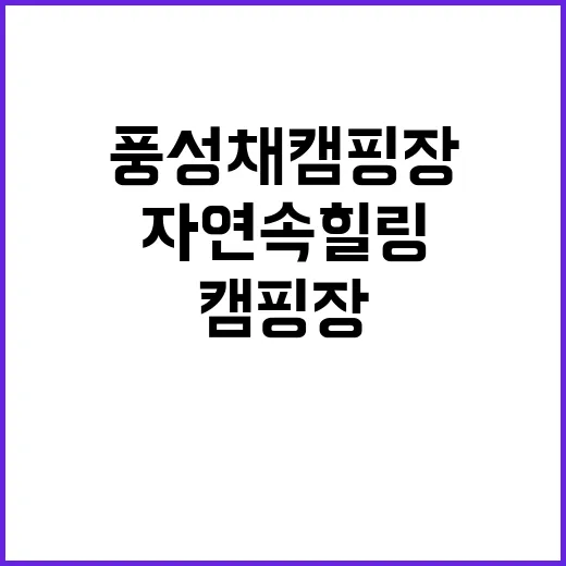 풍성채 캠핑장