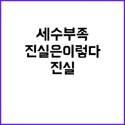 세수 부족 이자 부담 없다? 진실은 이렇다!