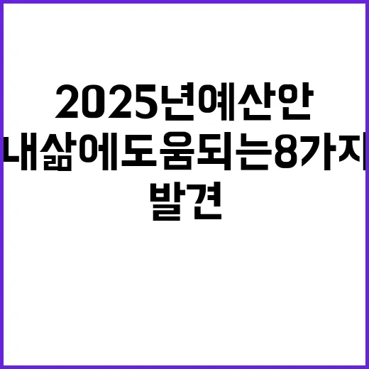 2025년 예산안 내 삶에 도움 되는 8가지 발견!