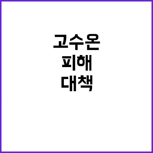 고수온 피해현황 및 지원 대책 완벽 분석!