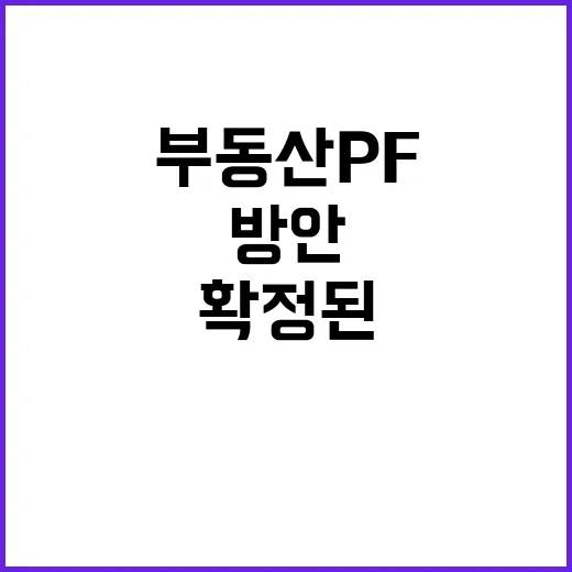 부동산 PF 금융위…