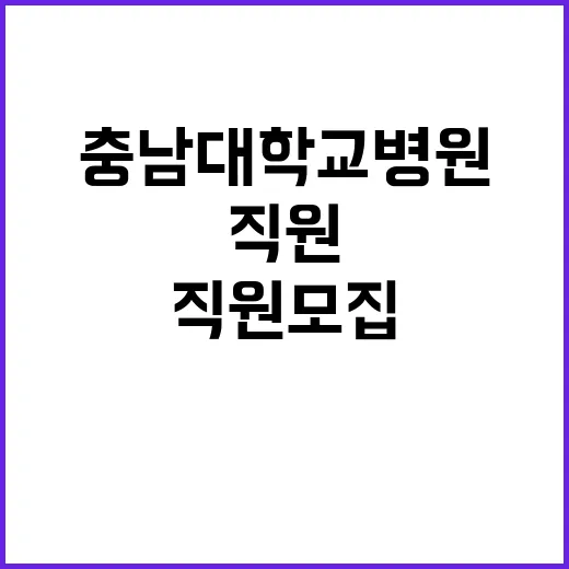 충남대학교병원 비정…