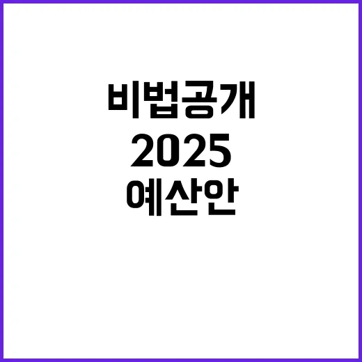 2025 예산안 살림살이에 도움이 되는 비법 공개!