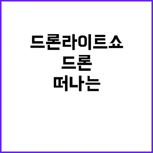 왕릉 드론 라이트쇼…