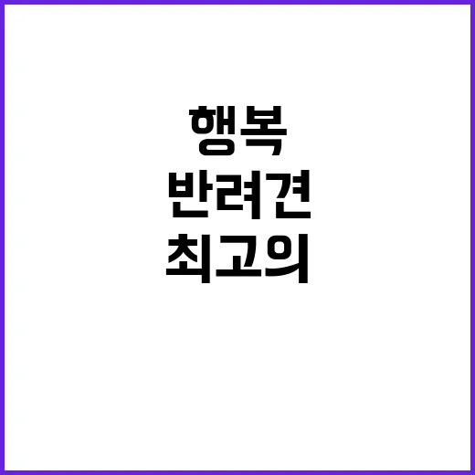 반려견 행복 사람과…