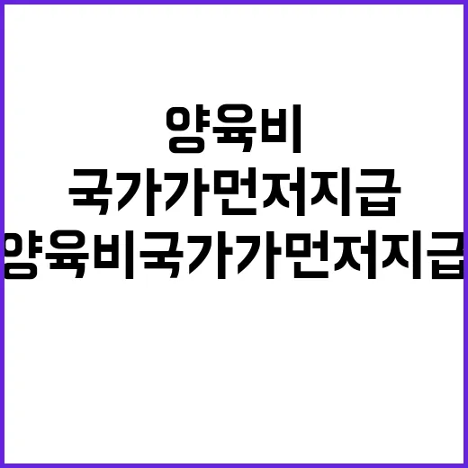 양육비 국가가 먼저 지급한다는 획기적 변화!