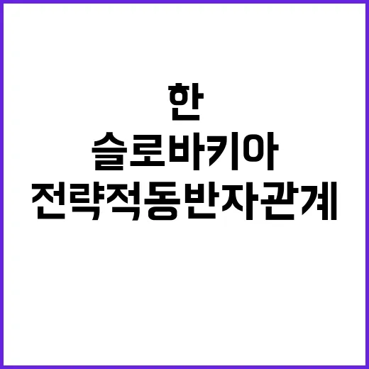 한슬로바키아 새로운…