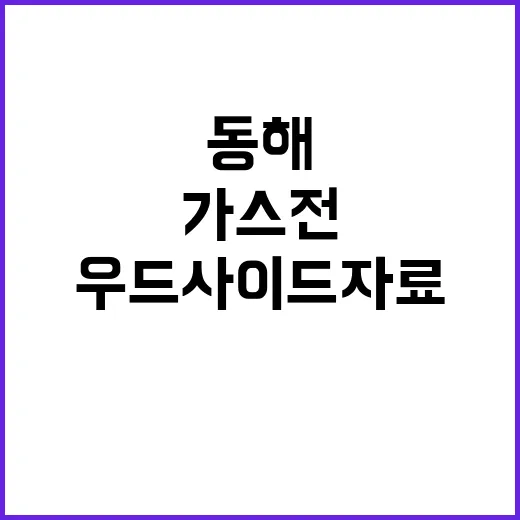 “동해 가스전 우드사이드 자료로 유망구조 밝혀져!”