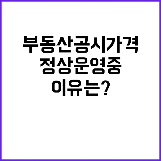 부동산 공시가격 정…