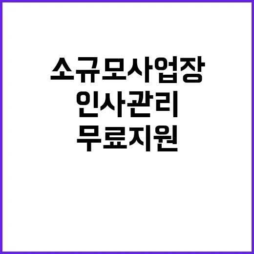 소규모 사업장 50…