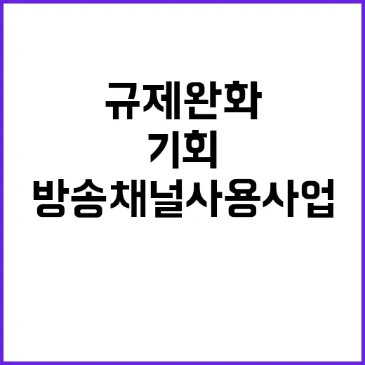 방송채널사용사업 규…