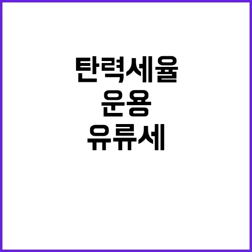 유류세 탄력세율 결…