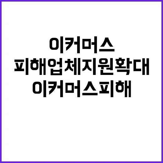 이커머스 피해업체 …