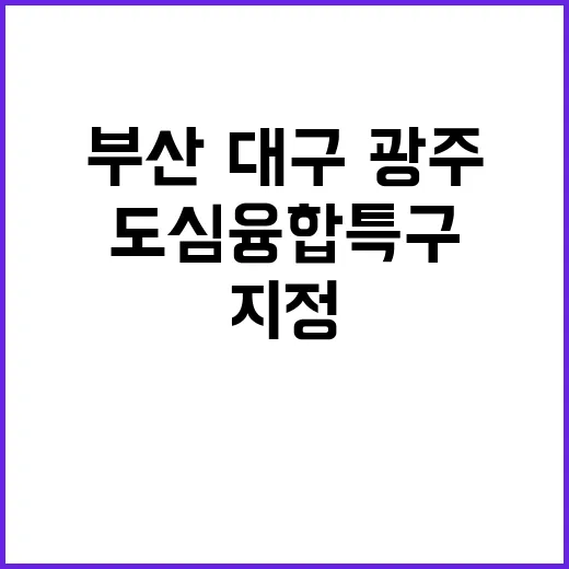 부산·대구·광주 도…