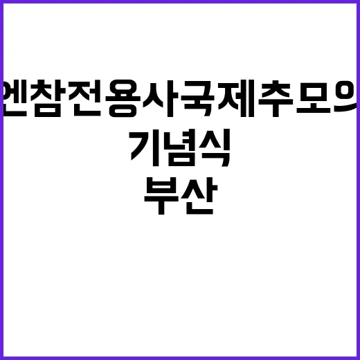 유엔참전용사 국제추…