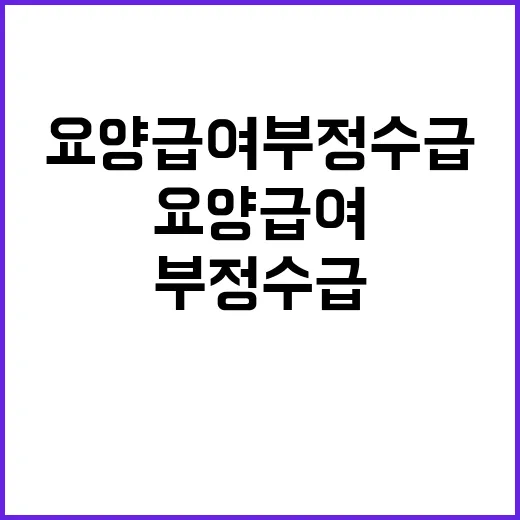 “요양급여 부정수급…