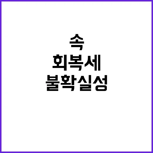 경제회복세 불확실성…