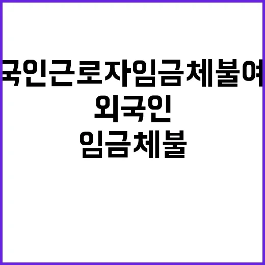 고용부 외국인근로자…