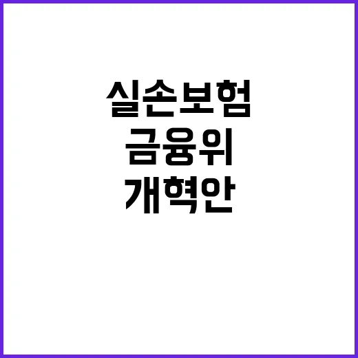 금융위 실손보험 개혁안 미확정 사실 전격 공개!