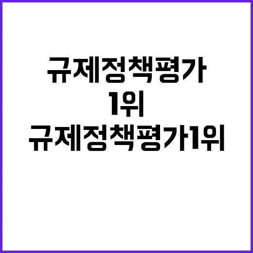 규제정책평가 1위 한 총리의 자랑스러운 성과!