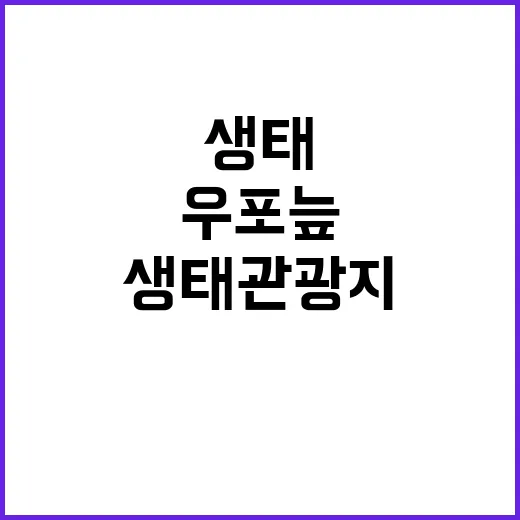 우포늪 국내 최대 생태관광지의 숨겨진 매력 공개!