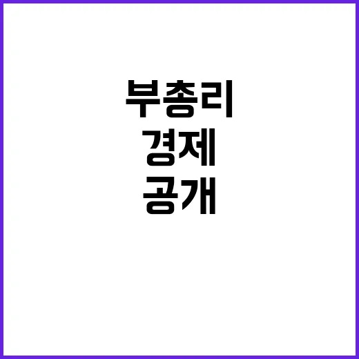 경제부총리 국가시스템 정상 운영 비밀 공개!