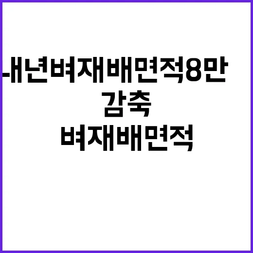 내년 벼 재배면적 8만㏊ 이상 감축 목표!