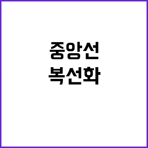 중앙선 완전 복선화…