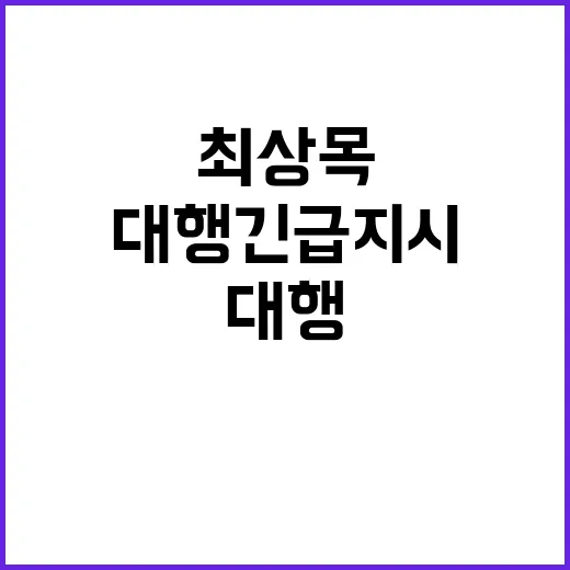 화재진압 최상목 대…