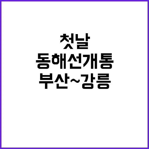 ITX마음 부산~강릉 동해선 개통 첫날의 기적!