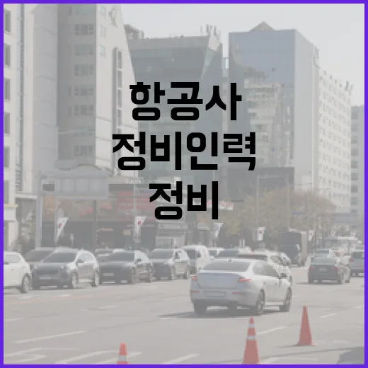 국토부 항공사 등록 정비인력 여부 확인 논란!